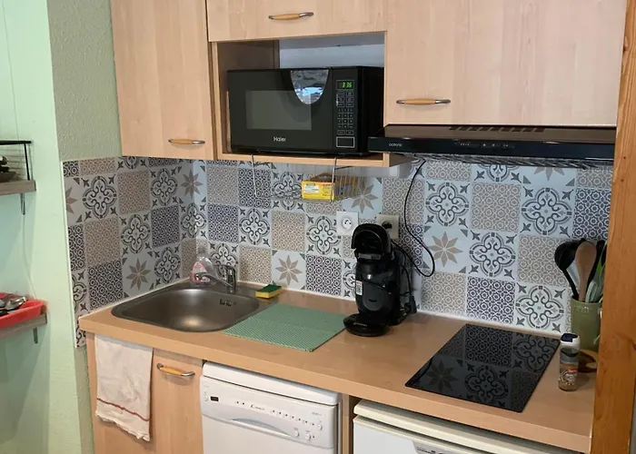 Lägenhet Familial 4,6 Personnes Avec Piscine Besse-et-Saint-Anastaise